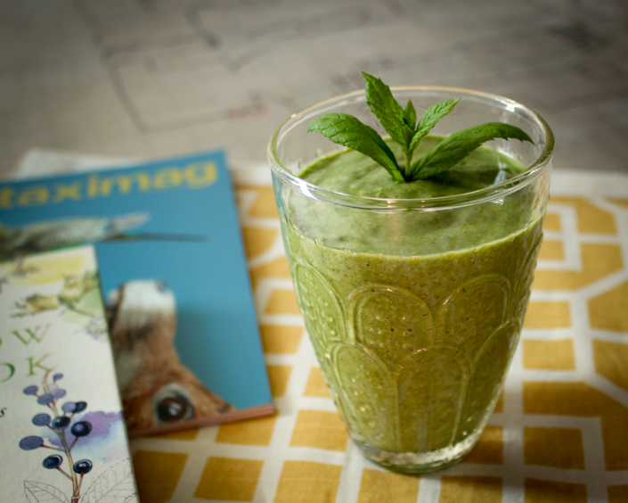 Healthy Vegan Shamrock Shake Smoothie