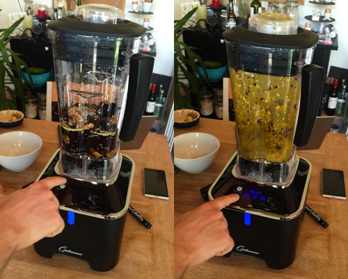 Froothie Optimum G2.1 Power Blender Review