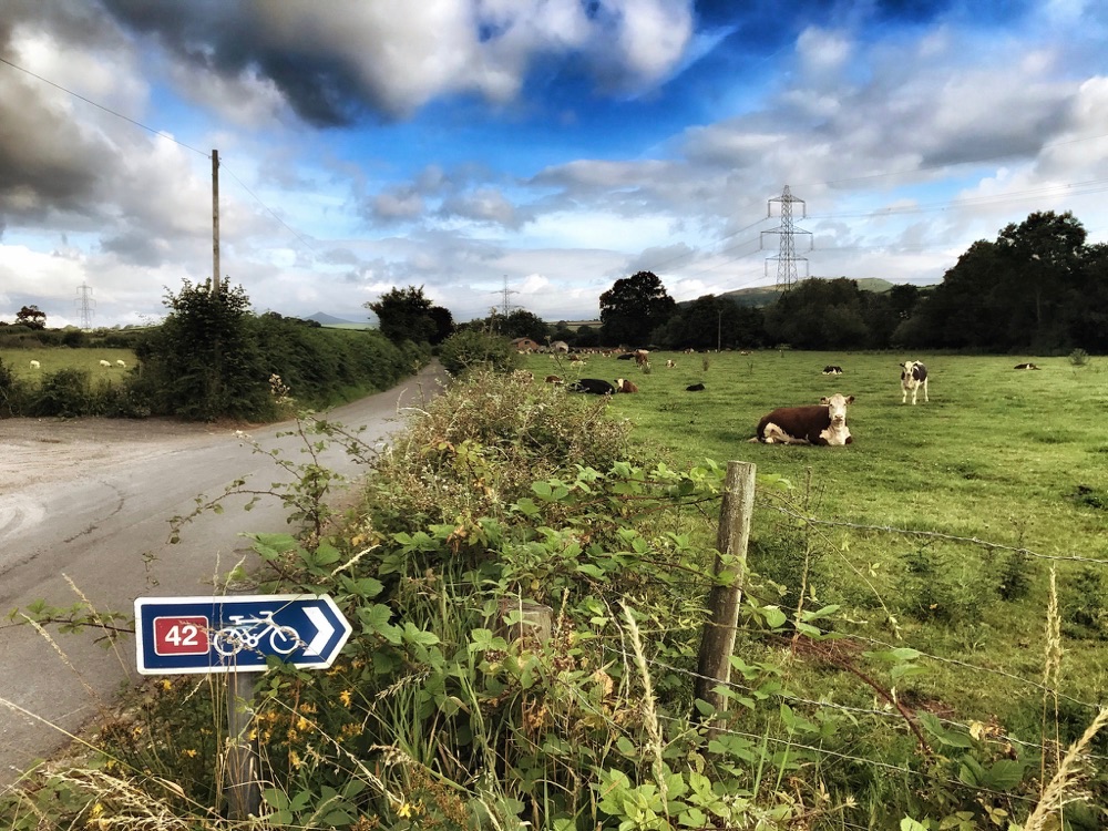 Wales Cycle Touring - Route 42