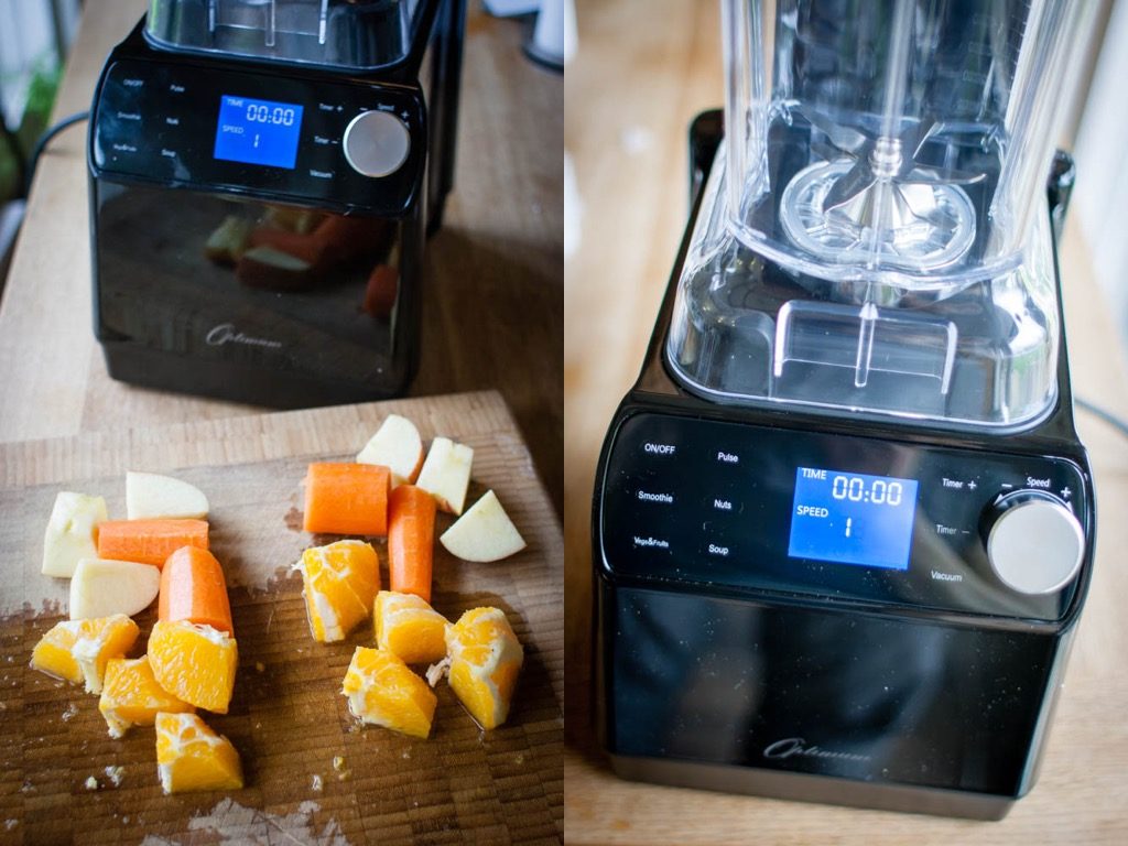 Froothie Optimum G2.1 Power Blender Review